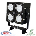 DS-LFL-100-4x12 (2x2)