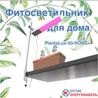 Фитосветильник для досветки растений в домашних условиях