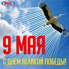 С Днем Великой Победы!