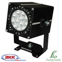 DS-LFL-025-1x12