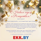 С наступающим Новым годом и Рождеством!