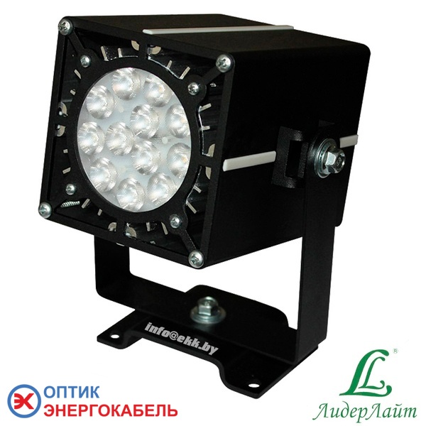 Светодиодный прожектор DS-LFL-025-1x12