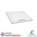 SLIMPANEL.2-P300x300-8 (DS-DVO-008-2-Р300x300)
