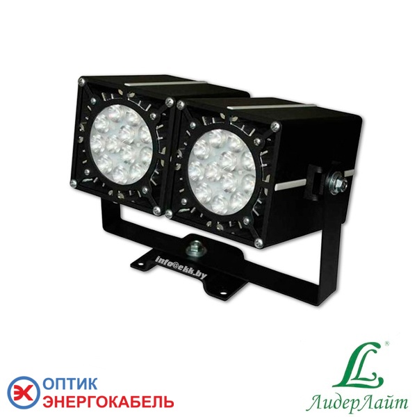 Светодиодный прожектор DS-LFL-050-2x12