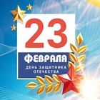 С Днем защитника Отечества!