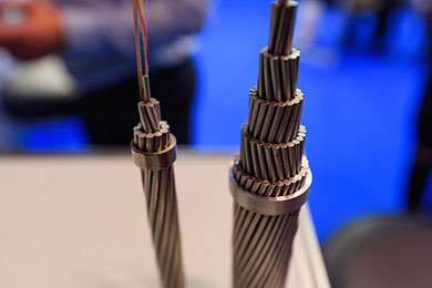 EnergyExpo 2017 фото-4