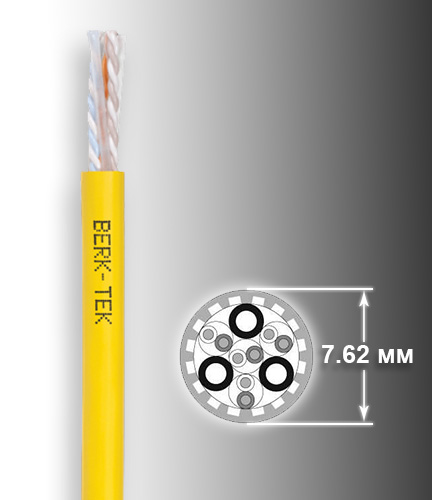 LANmark-10G2