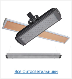 фитосветильники