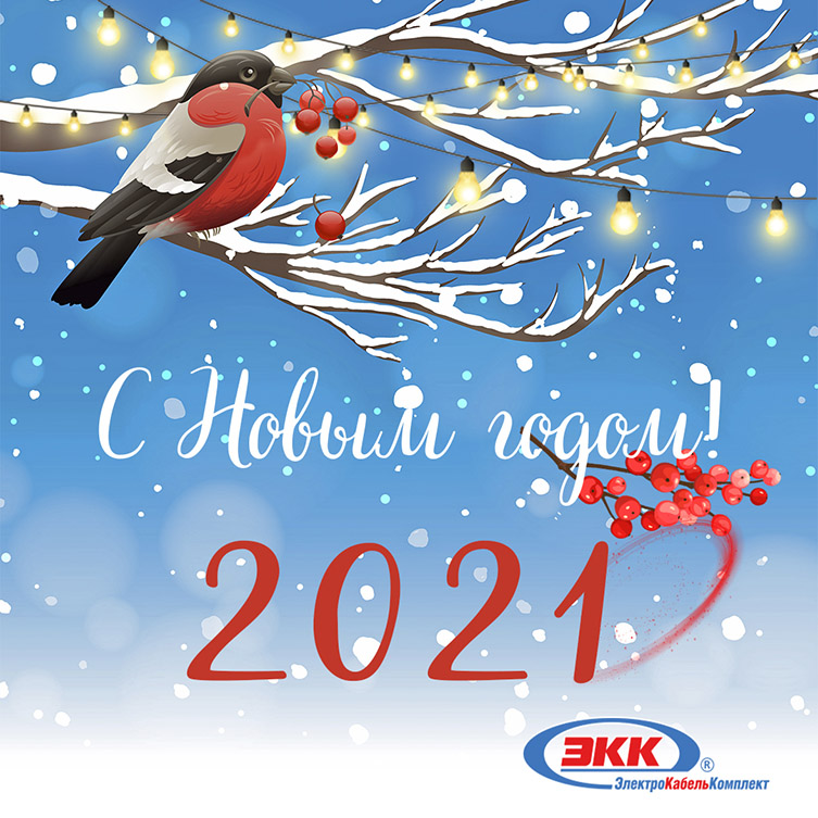 С Новым 2021 годом!