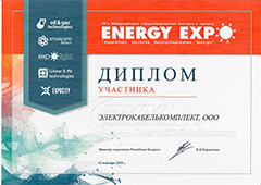 Диплом участника Energy Expo 2018