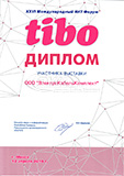 Диплом участника TIBO 2019